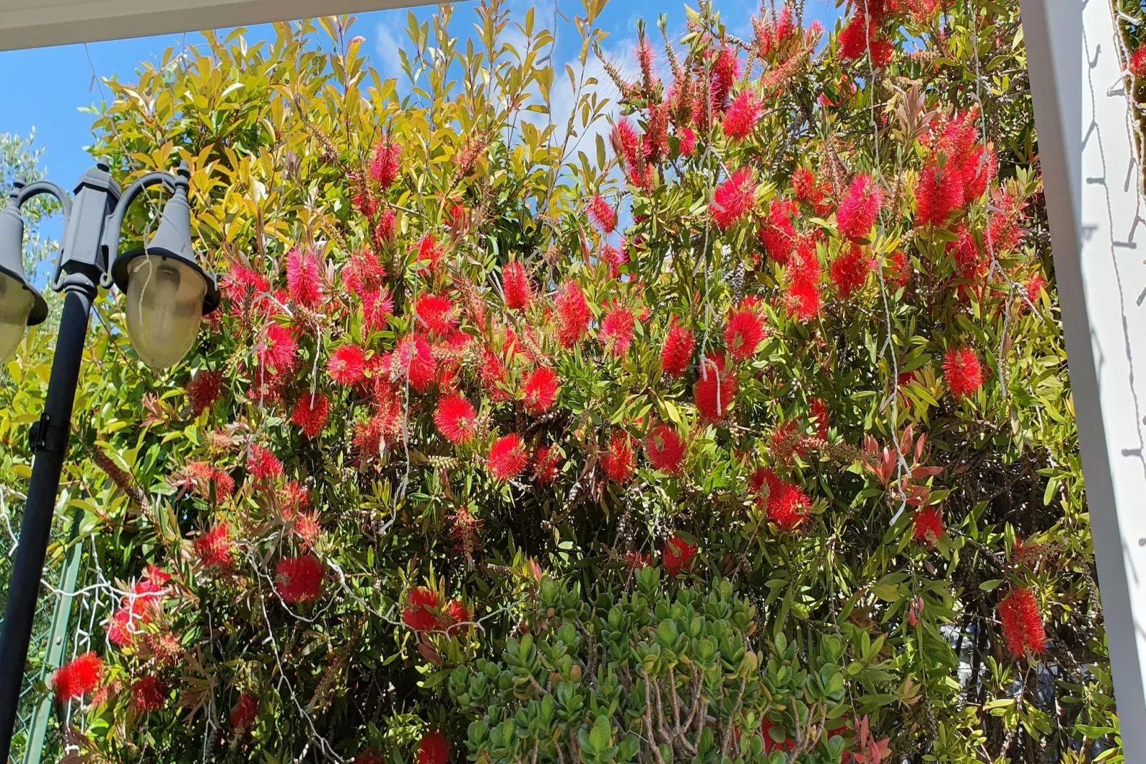 Charmante Villa mit drei Apartments und Meerblick KReidl-Tuinen zomer