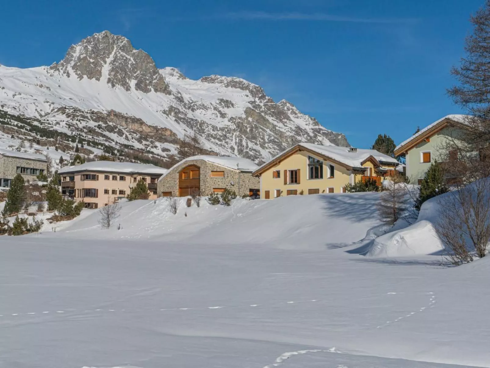 Chesa Trais FluorsC3 - Image-tags.info