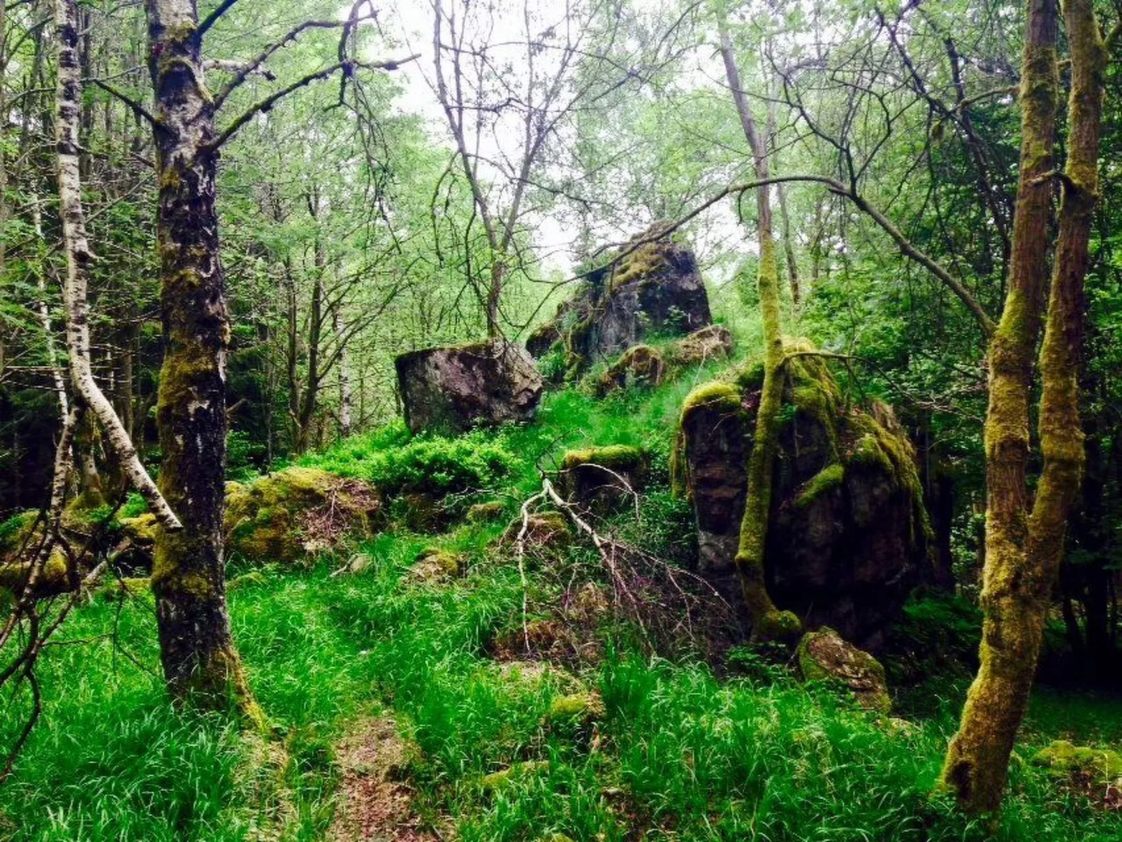 In Braunlage - Image-tags.info