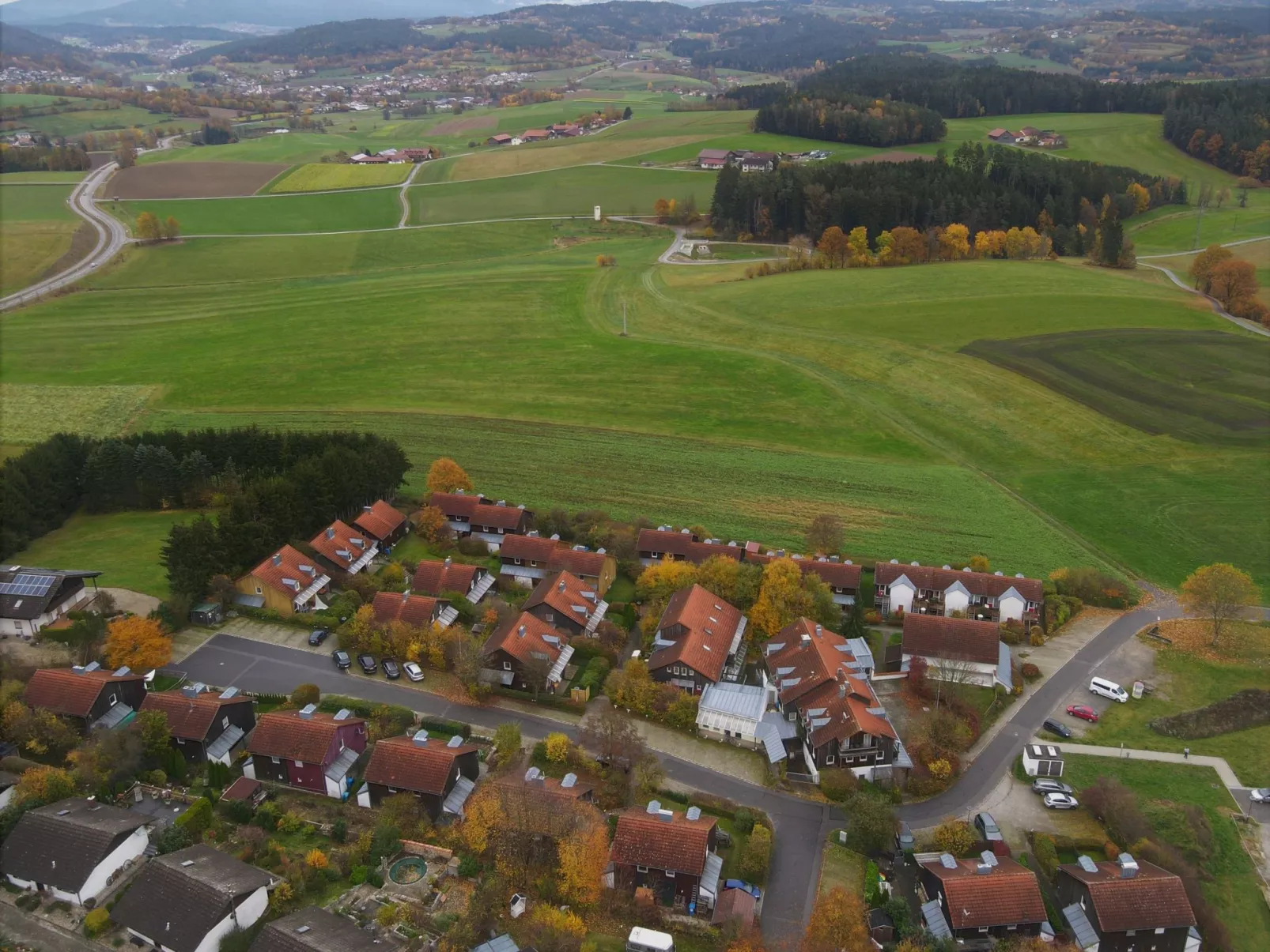 Livi - Image-tags.info