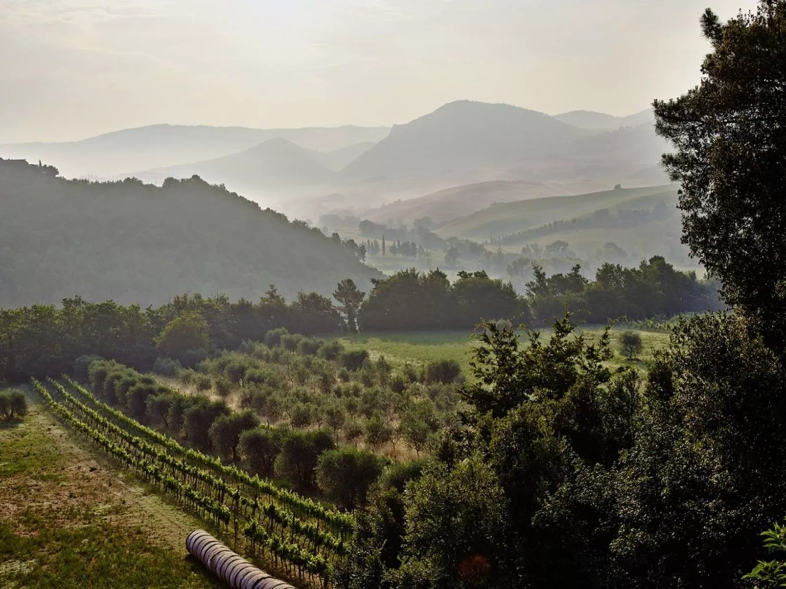 La Stalla - Image-tags.info