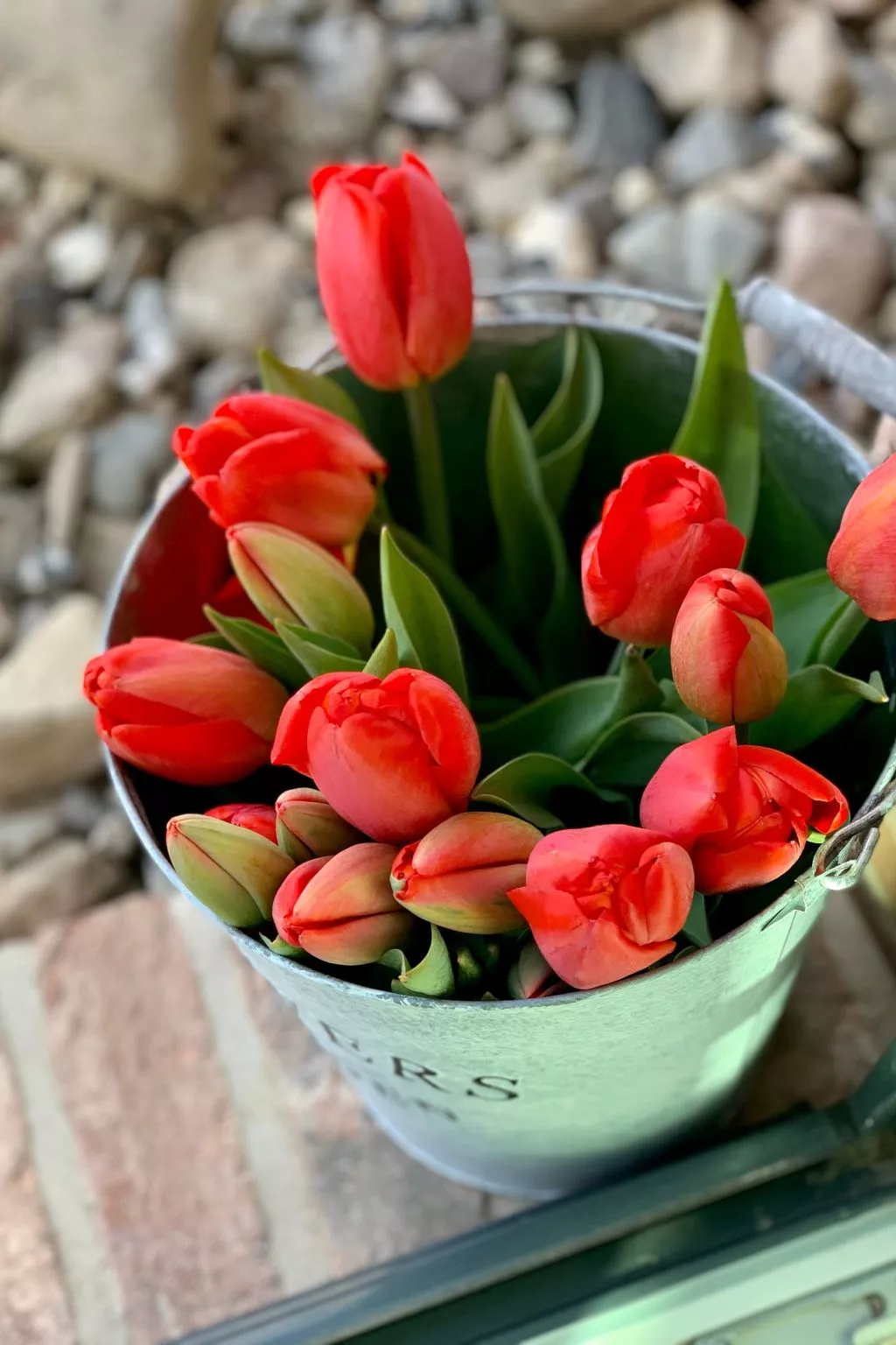 Reethus Linda am Schloß Groß Schwansee - Image-tags.info