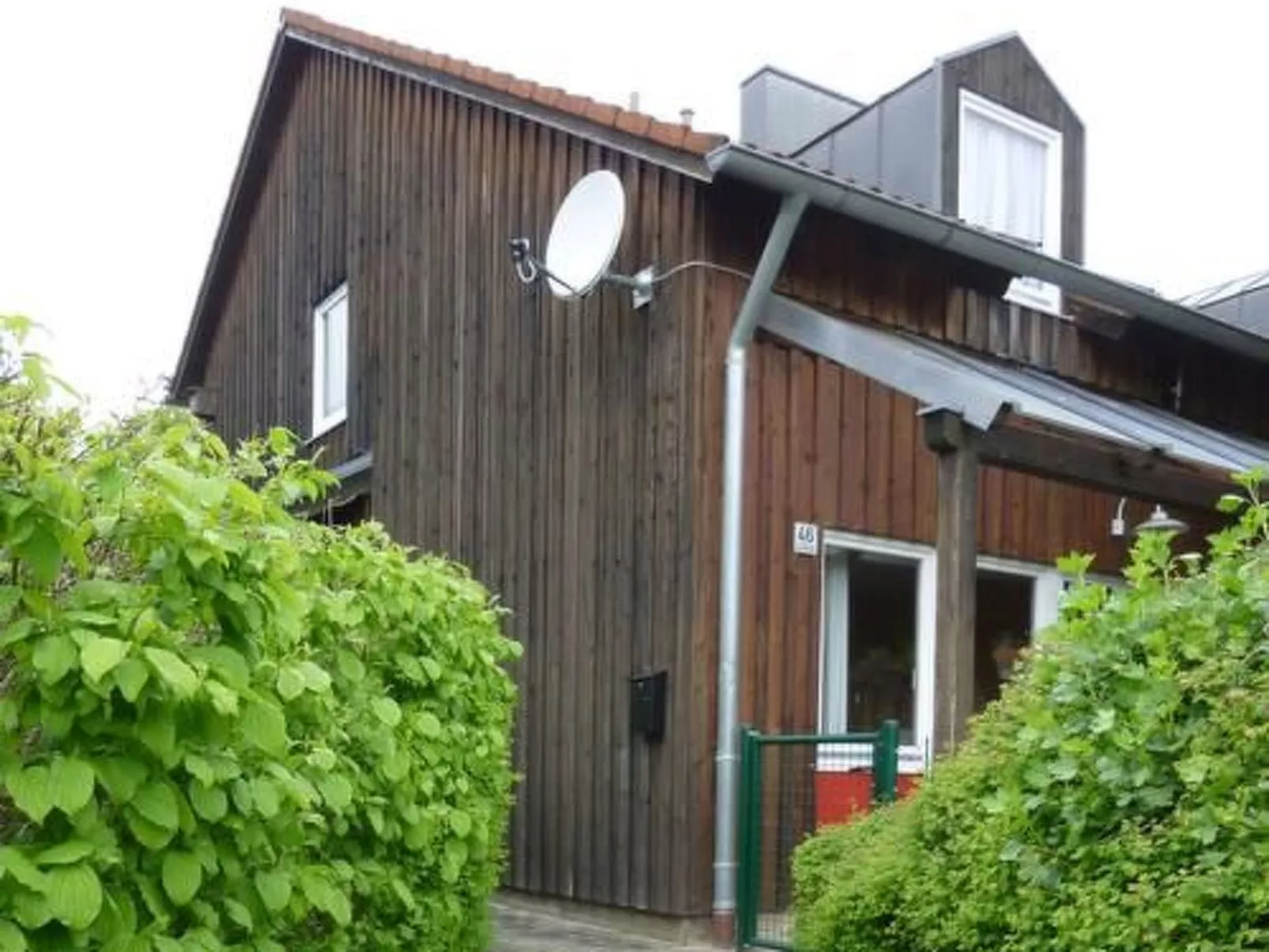 Adele - Allergiker geeignet - Image-tags.info