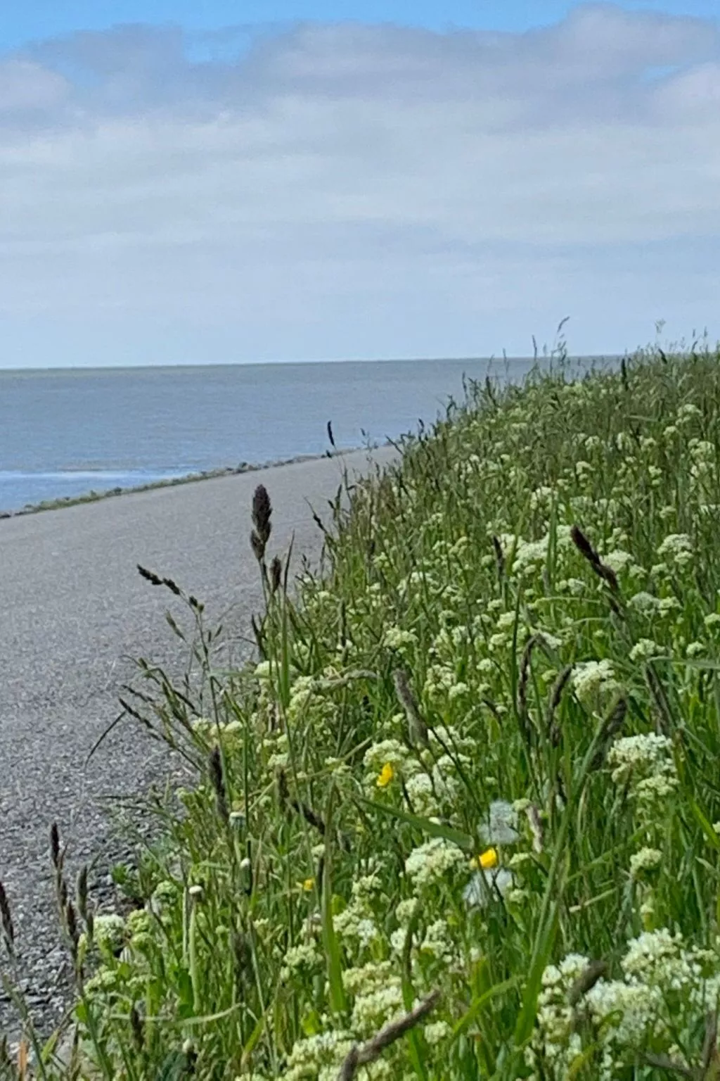 Neuhaus Deichperle - Image-tags.info