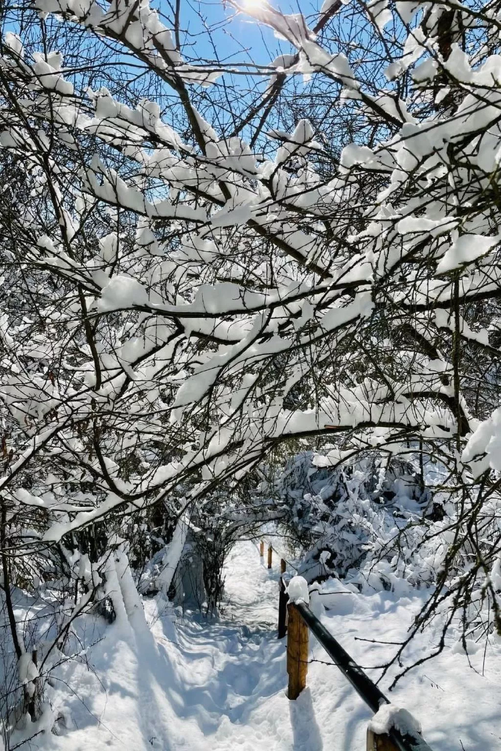 In Nieder-Werbe mit Großer Terrasse - Image-tags.info