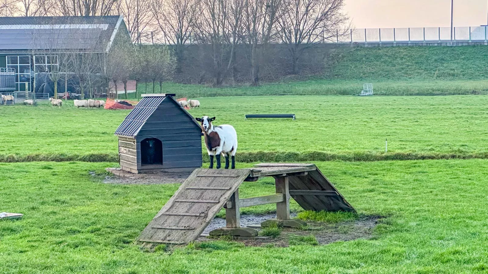 Beets View - Uitzicht winter