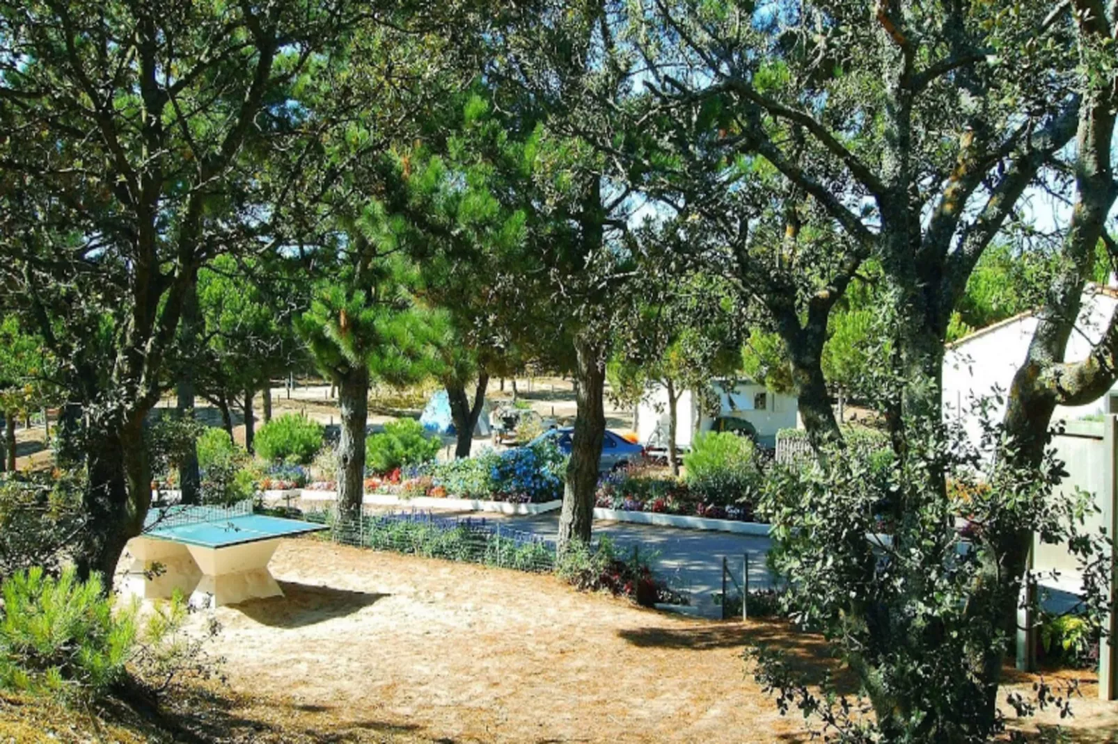 Villa Russie - Domaine Le Sherwood-Buitenkant zomer