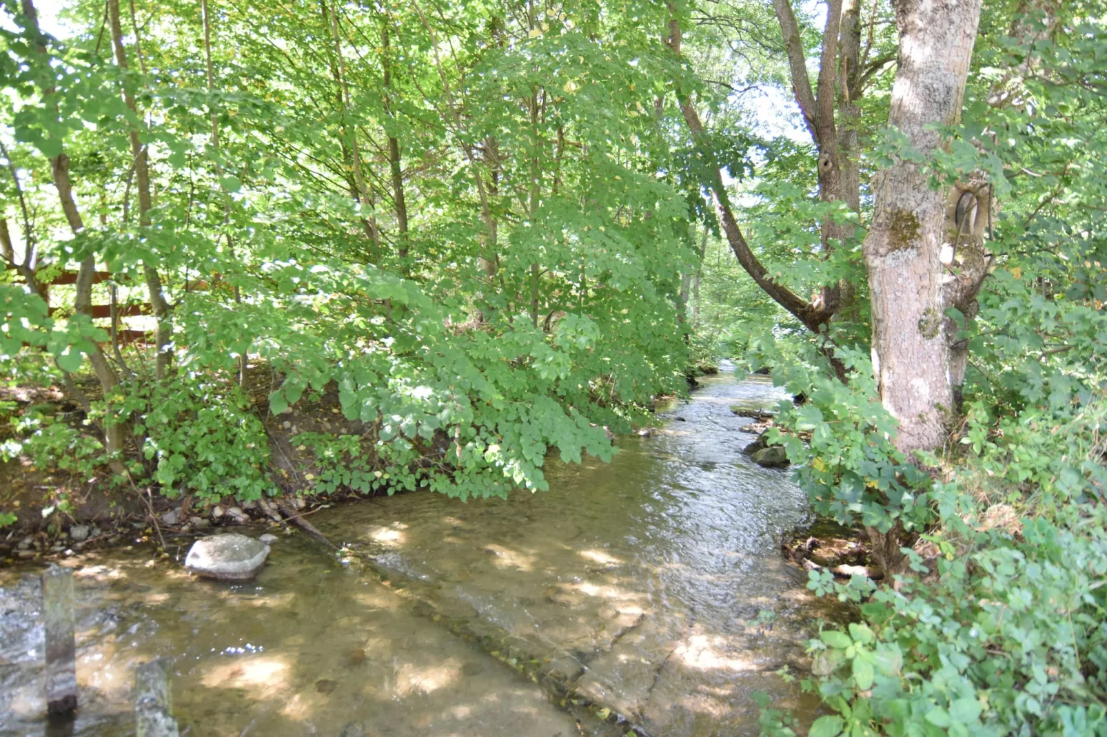 Domki wakacyjne MACIEJKA we Frydrychowie - Gebieden zomer 1km