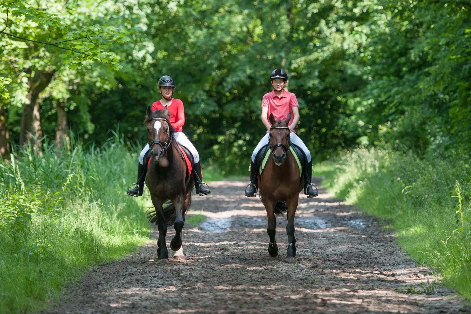 Villa Bel Air-Gebieden zomer 5km