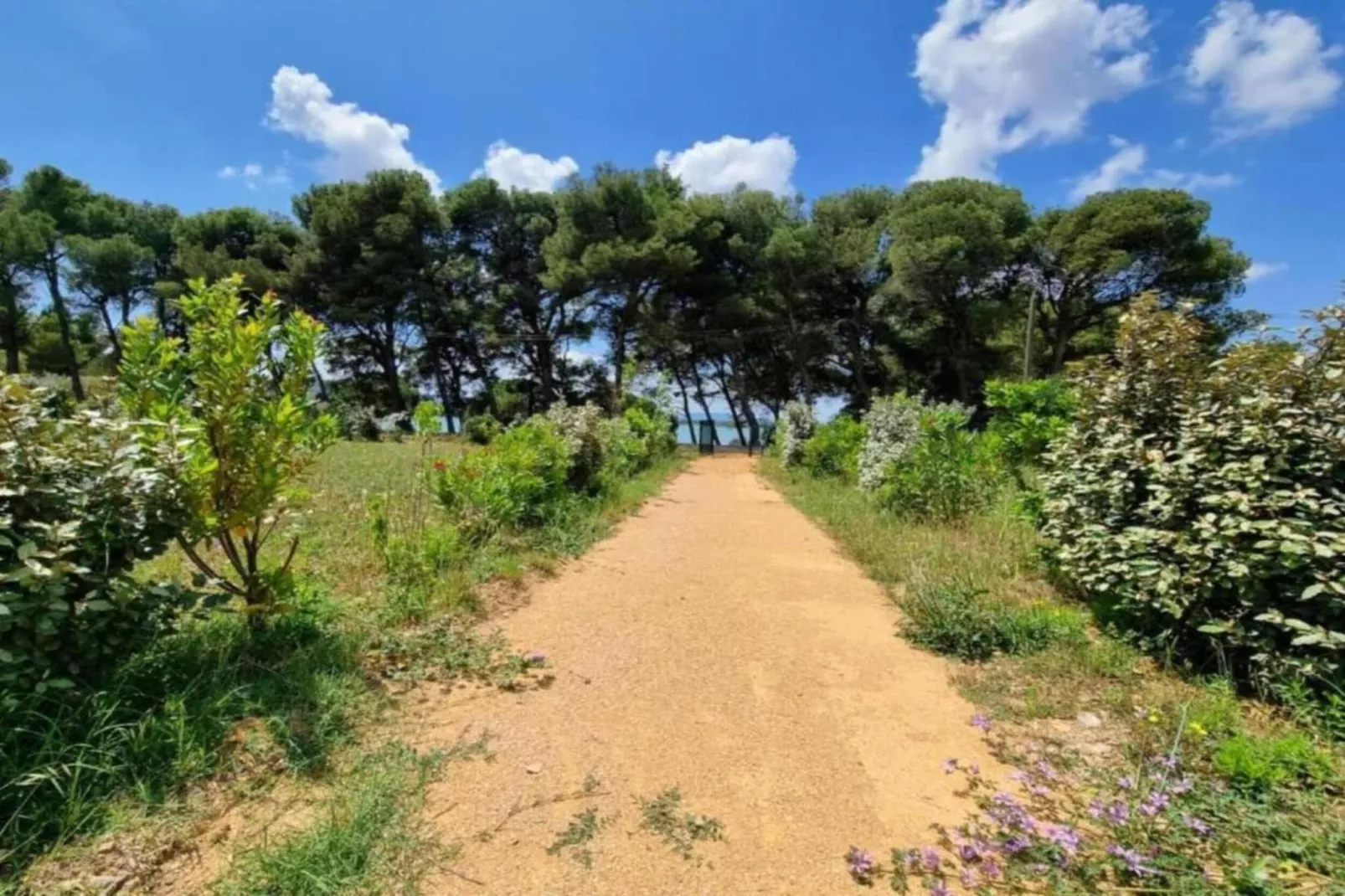 VILLA - FELINES MINERVOIS - Gebieden zomer 5km