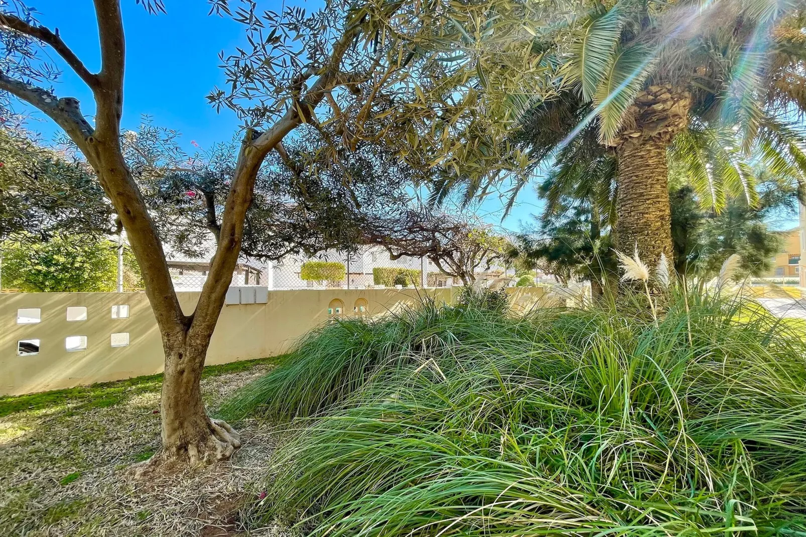 Moguima 2d-Gebieden zomer 1km