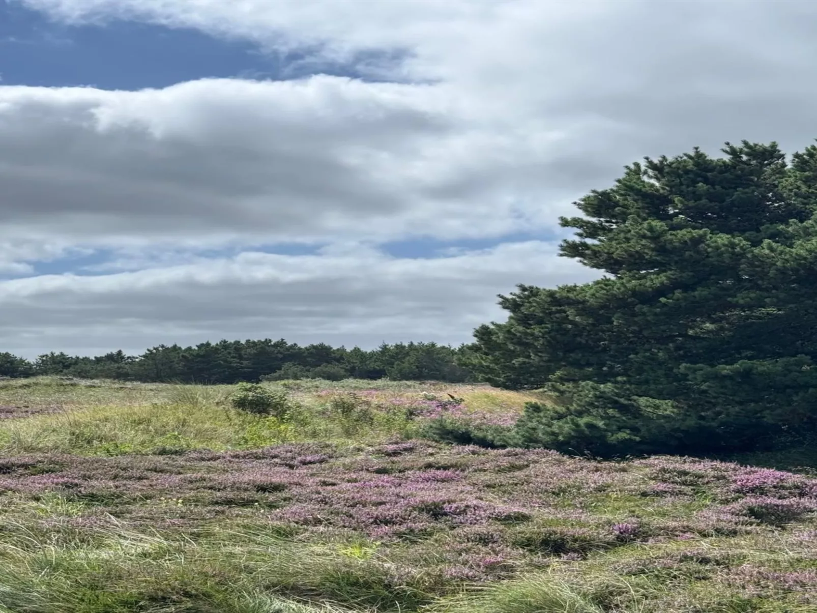"Thrugils" - 800m from the sea-Buiten