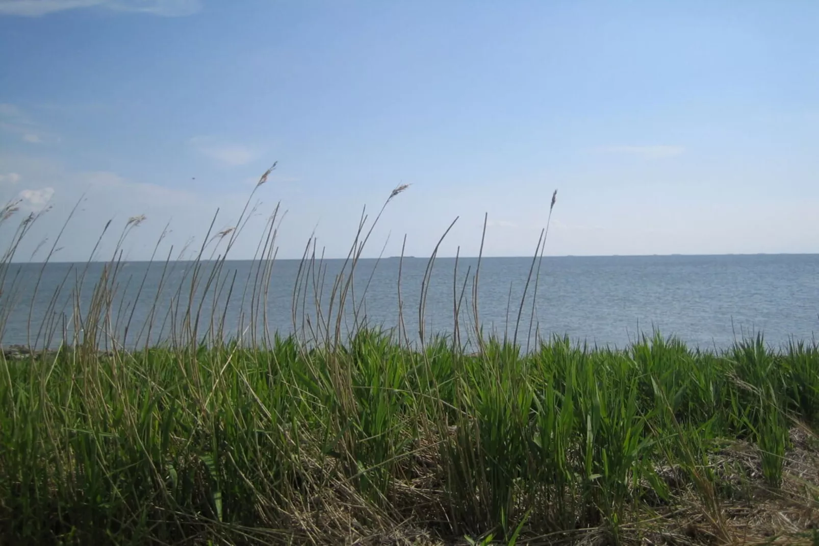 94443-Image-tags.water view