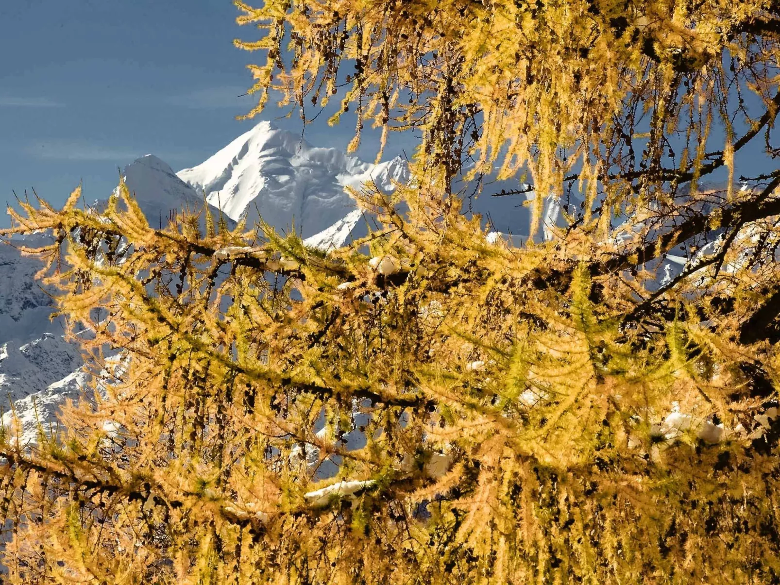 Chalet 1679 - Buiten