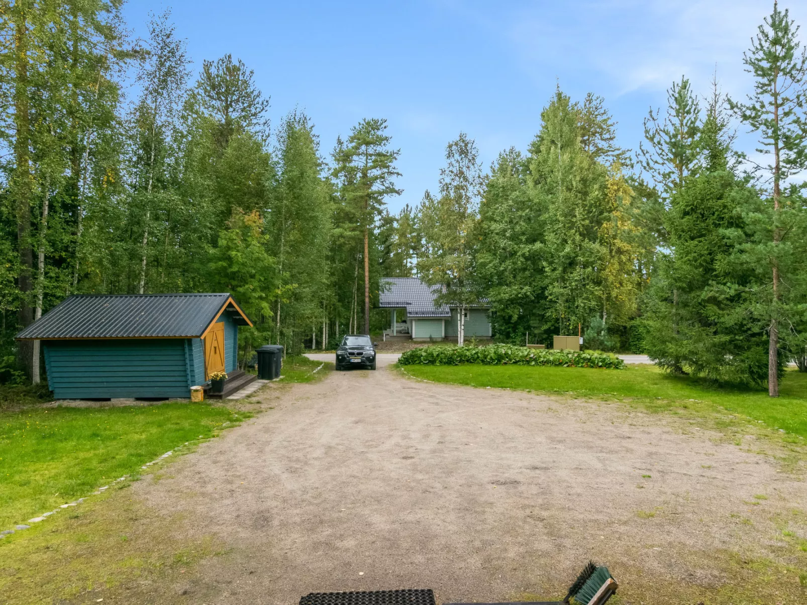 Linnanhelmi (ent. metsäpeura) - Binnen