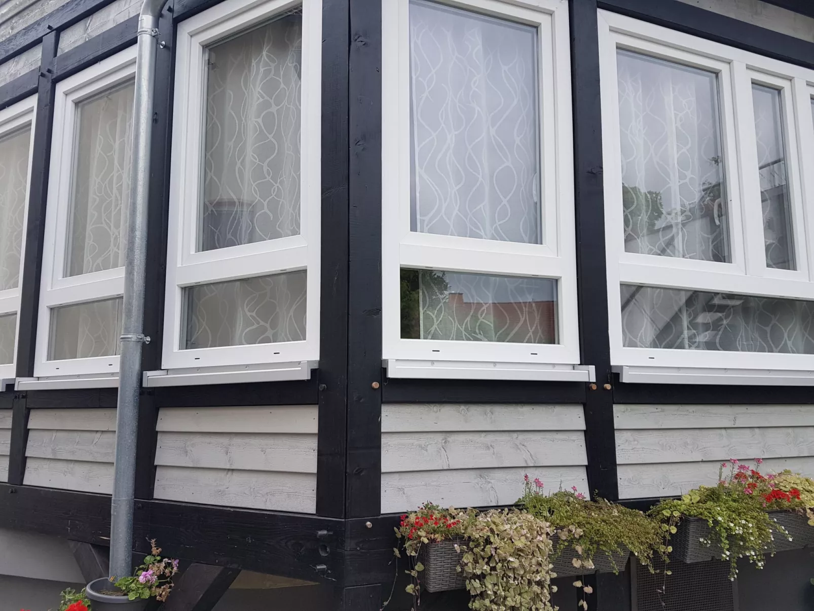 Rose - Image-tags.info