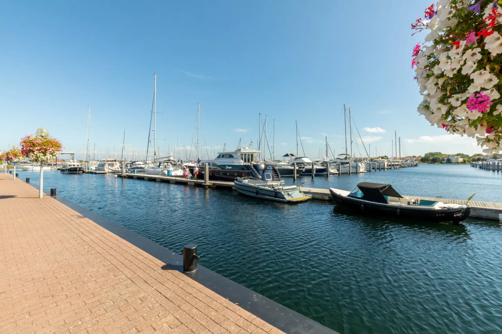 Zonnedorp 21  Beach Villa Joya Renesse | Luxury Beach Villa with Sauna - Gebieden zomer 1km
