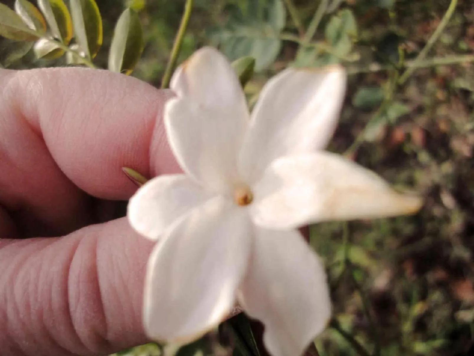 Locations-06 - Die Eugenie - Image-tags.info