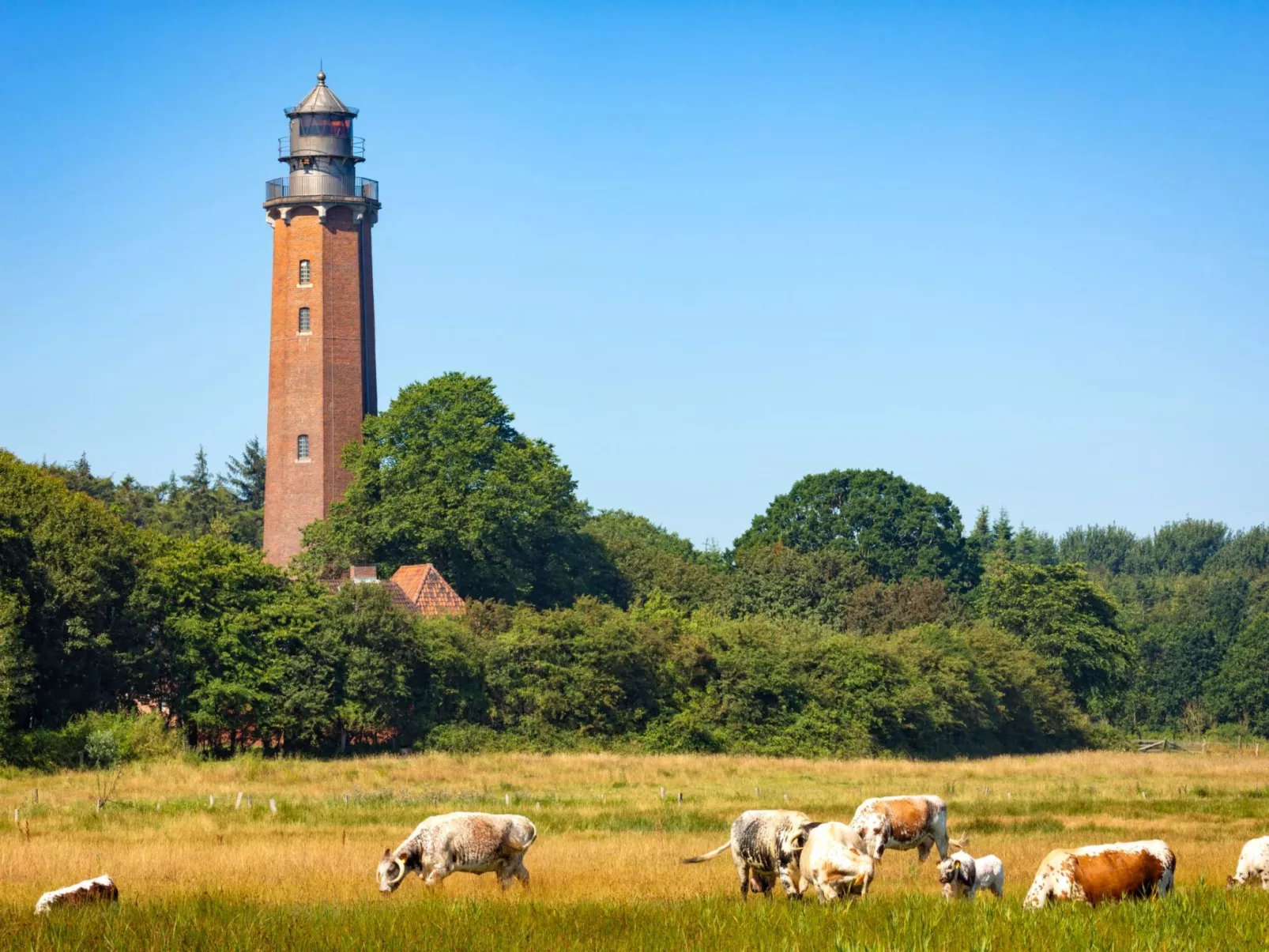 Hey Beachvilla - Image-tags.info