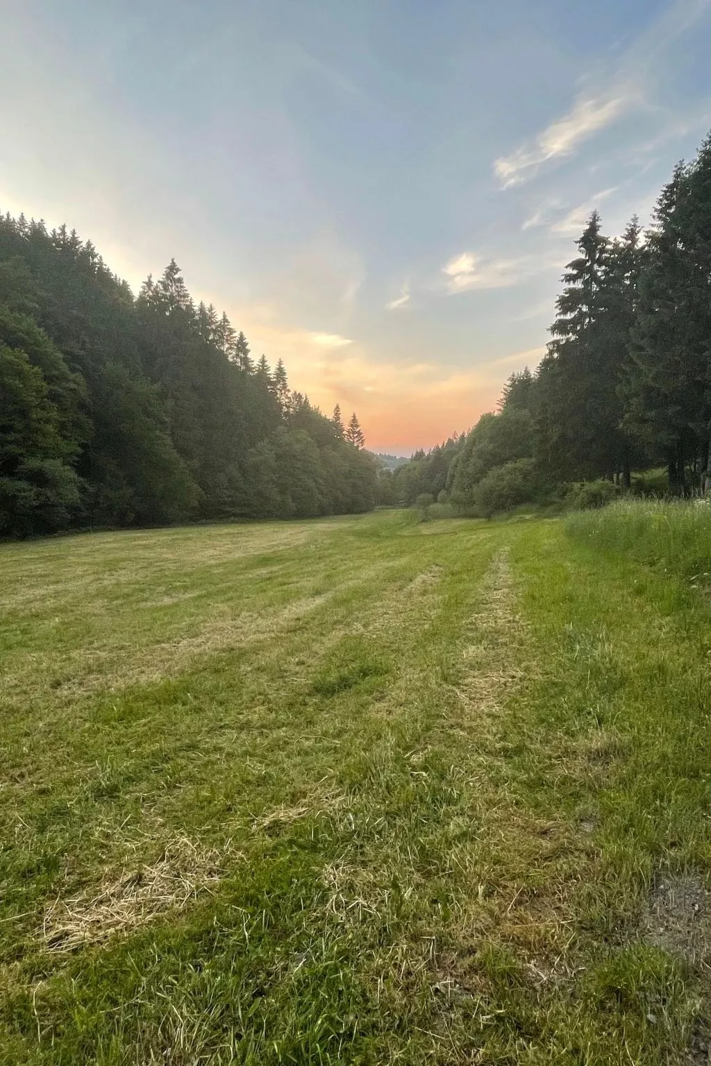 Renovierte Wohnung in Schwalefeld mit Garten, Terrasse und Grill - Image-tags.info