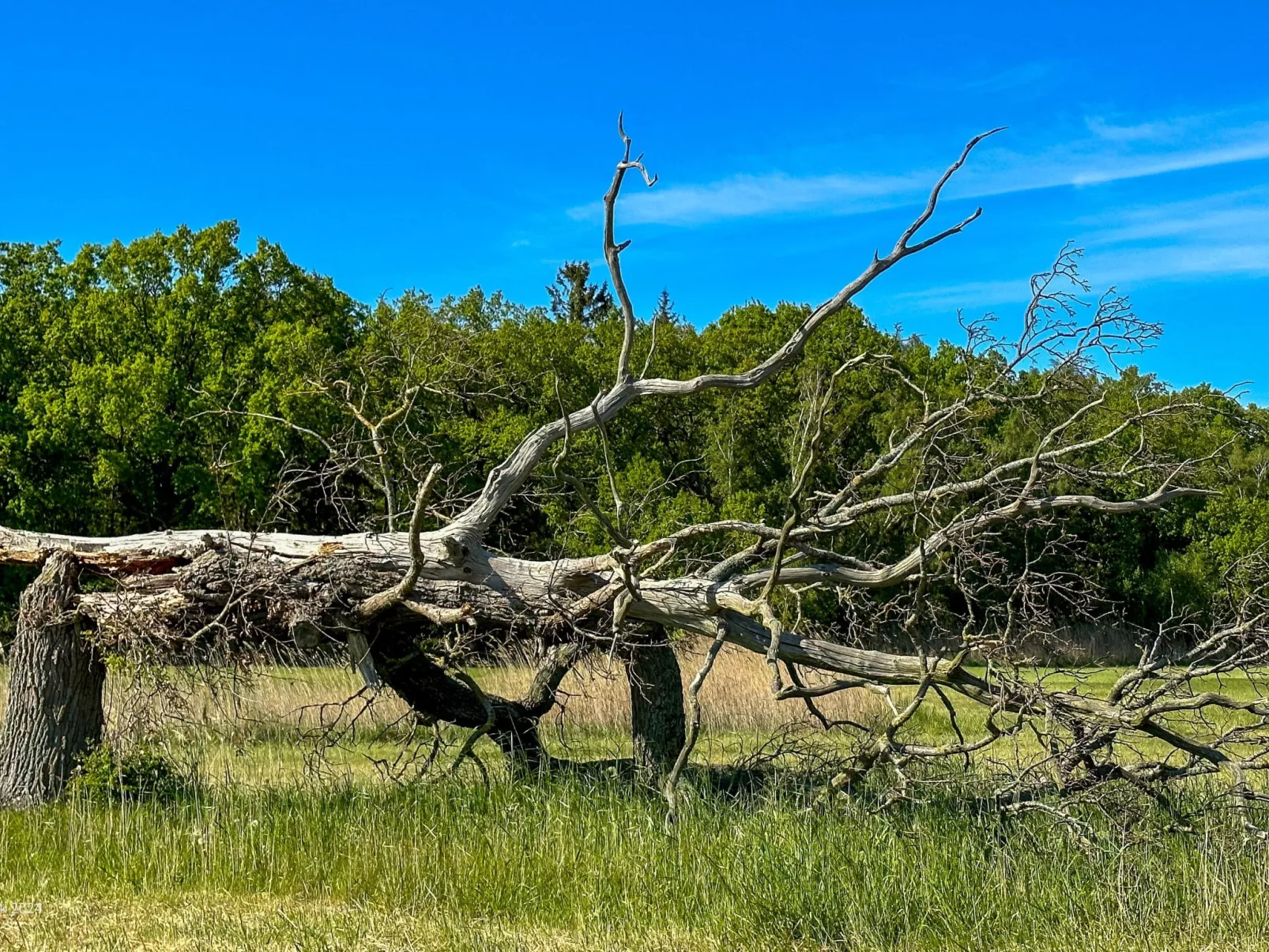 Boddenblick Klausdorf Am Nationalpark - Image-tags.info