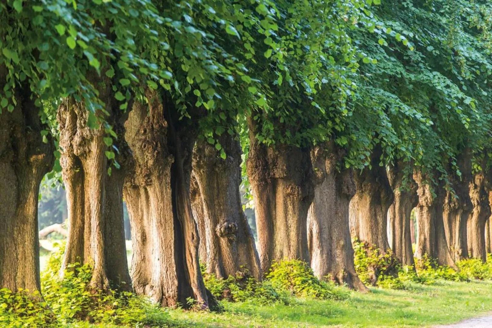 Ferienwohnung Eva mit Meerblick - strandnah - Gebieden zomer 20km
