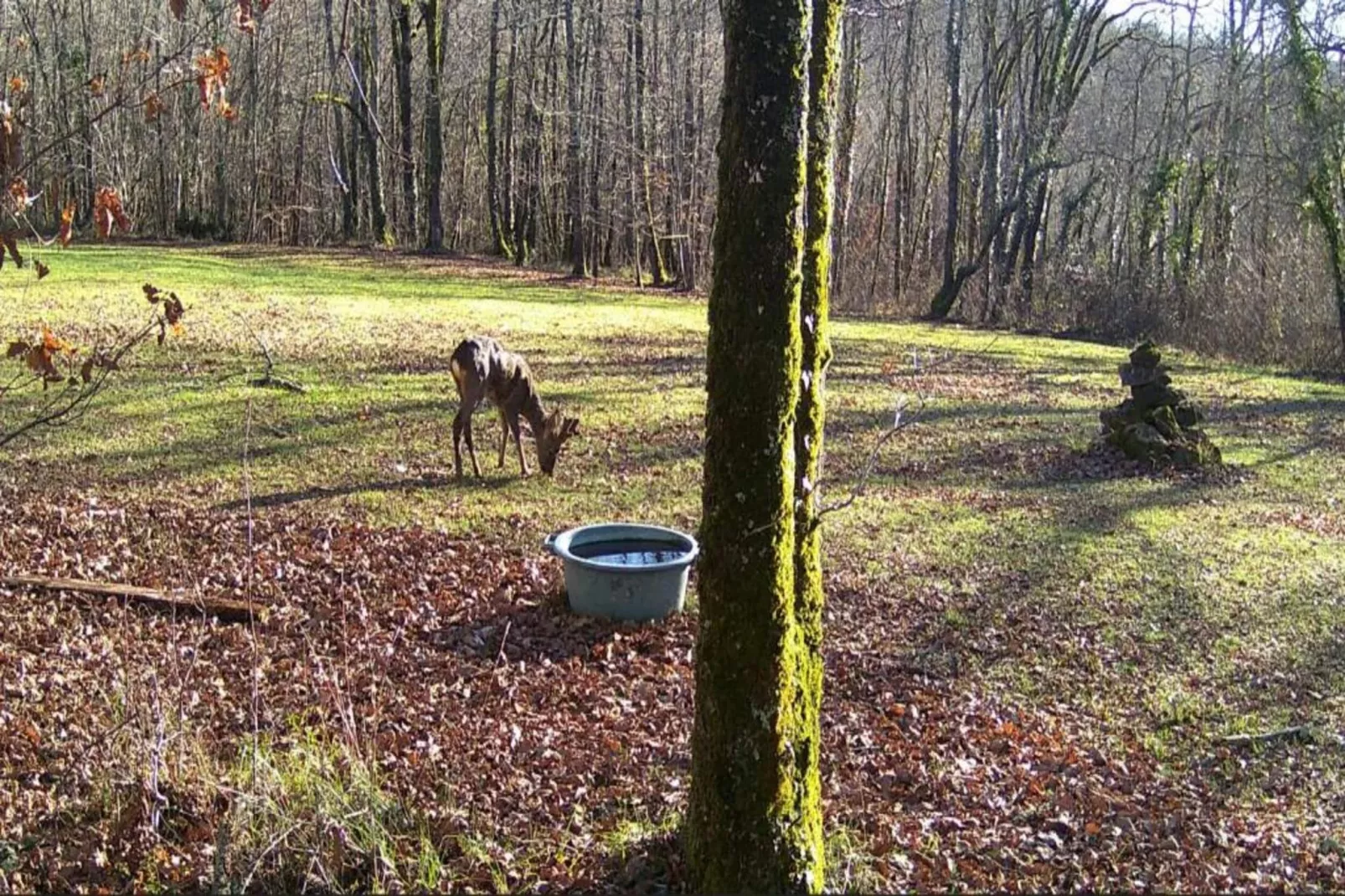 Domaine de Gavaudun - Gite La Chatière-Gebieden zomer 5km