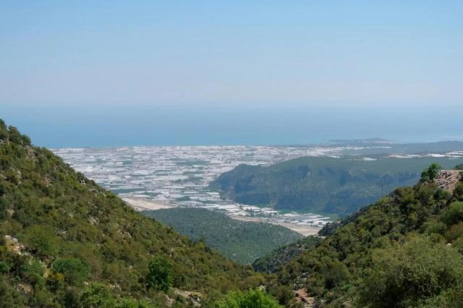 Moguima 2d-Gebieden zomer 1km