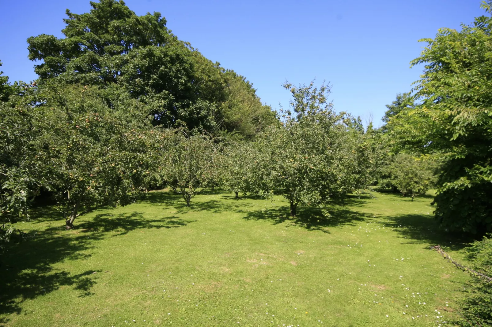 Maison de Vacances à Plounéour- Brignogan Plages - Tuinen zomer