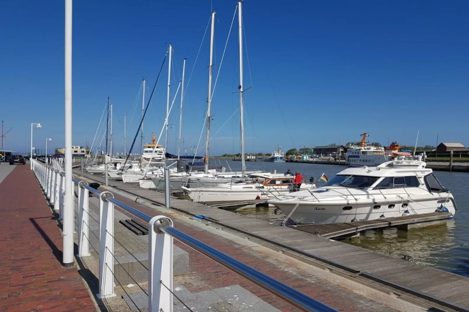 55576-Gebieden zomer 1km