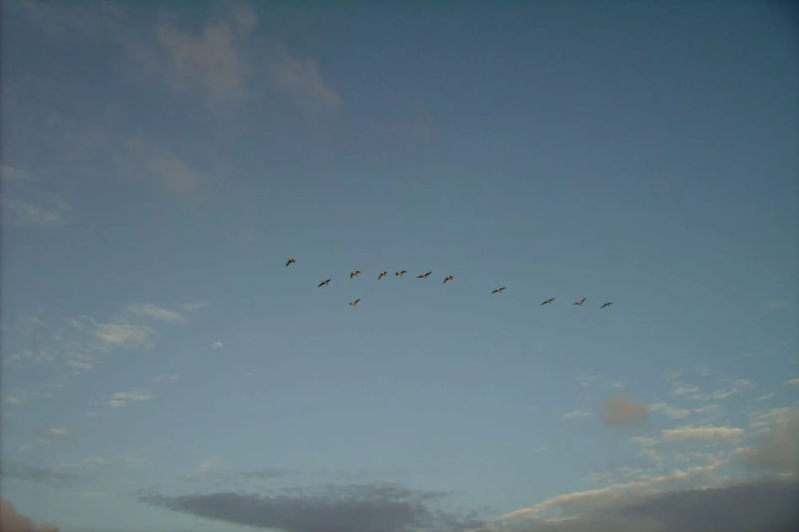 46450 - Image-tags.water view