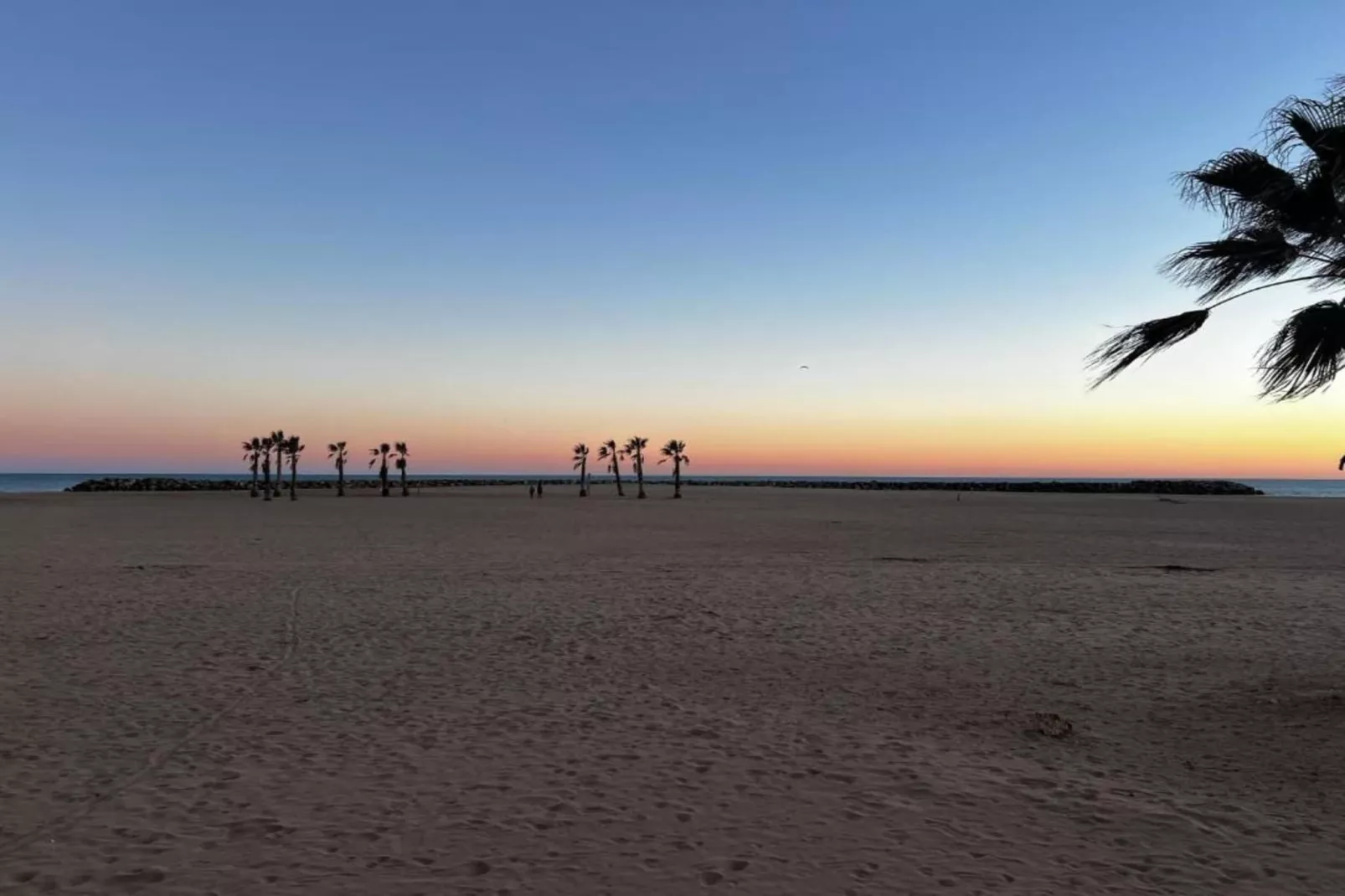 La Dune N°68 - VILLA 4P8 - Gebieden zomer 1km