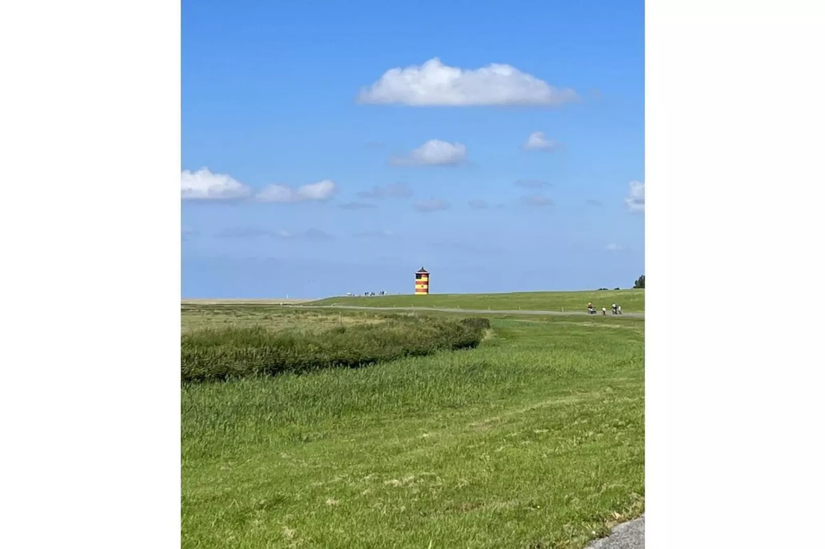 131094-Gebieden zomer 5km