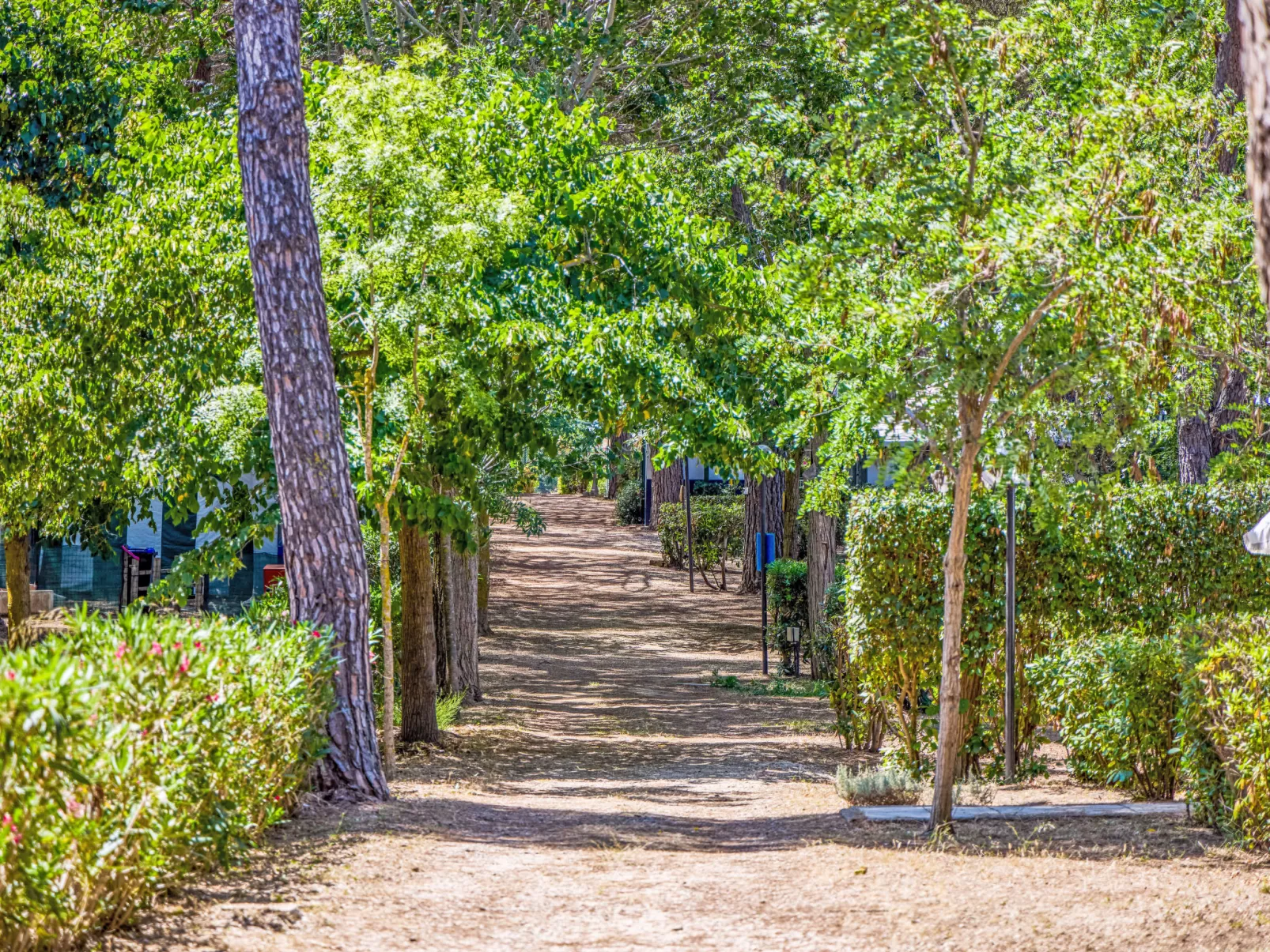 Costa D'Argento - Buiten