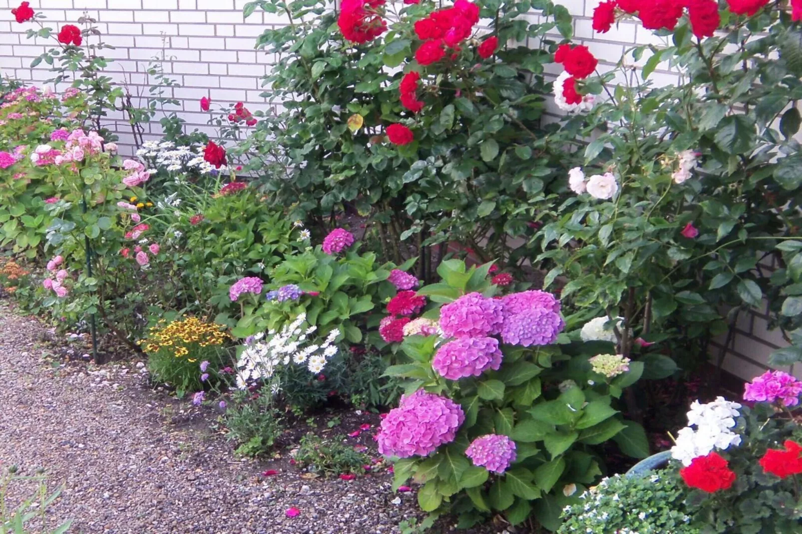 4627-Buitenkant zomer