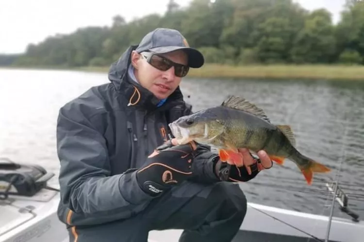 Apartament wakacyjny w Kiedrowicach dla max 6 osób-Gebieden zomer 1km