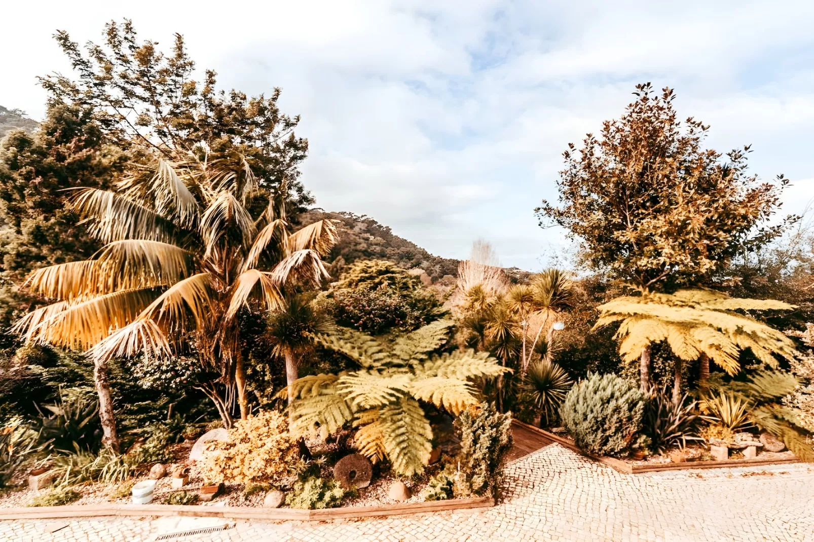 Oliveira's Houses By Gthouse-Buitenlucht