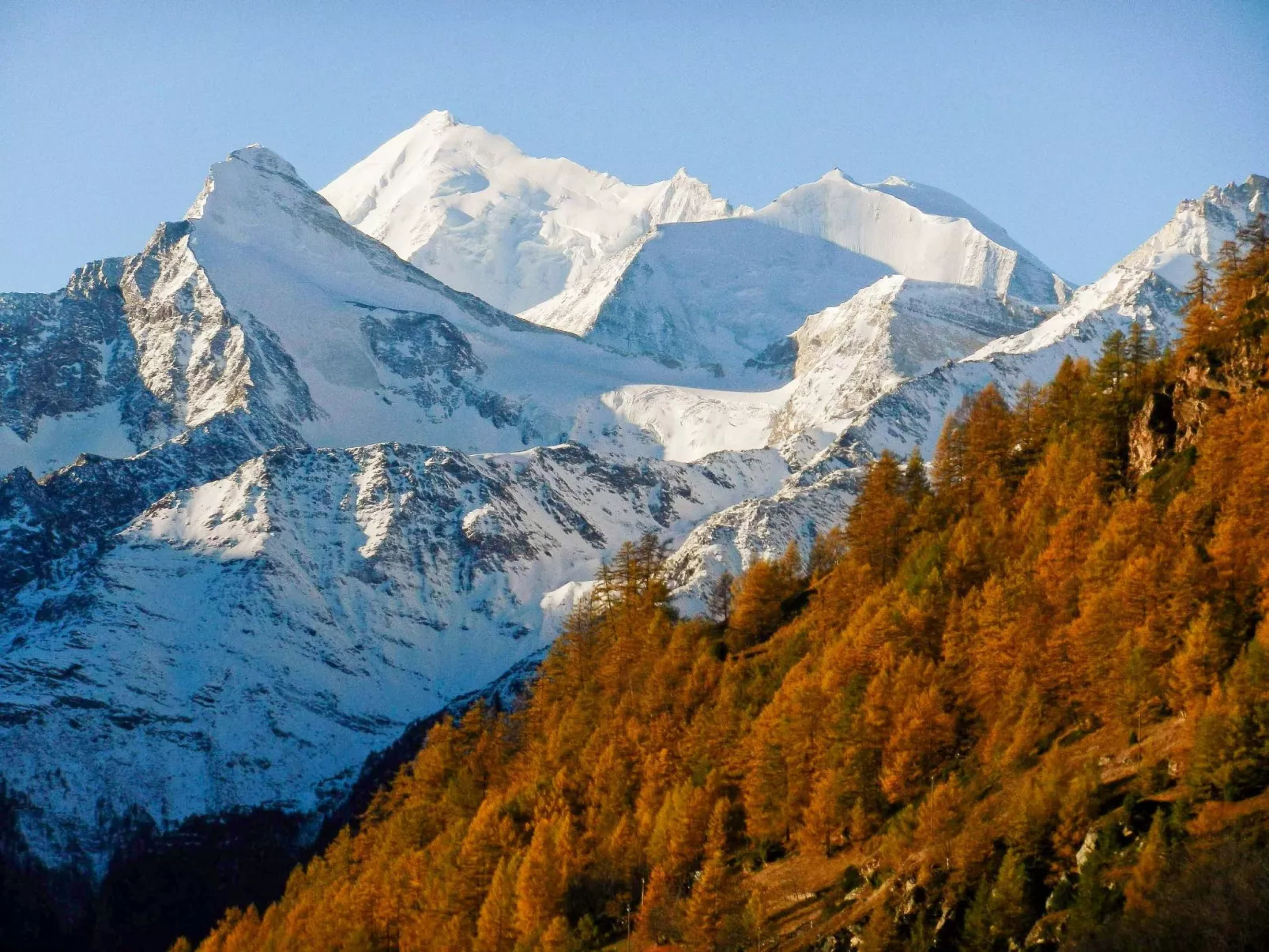 Chalet 1679 - Buiten