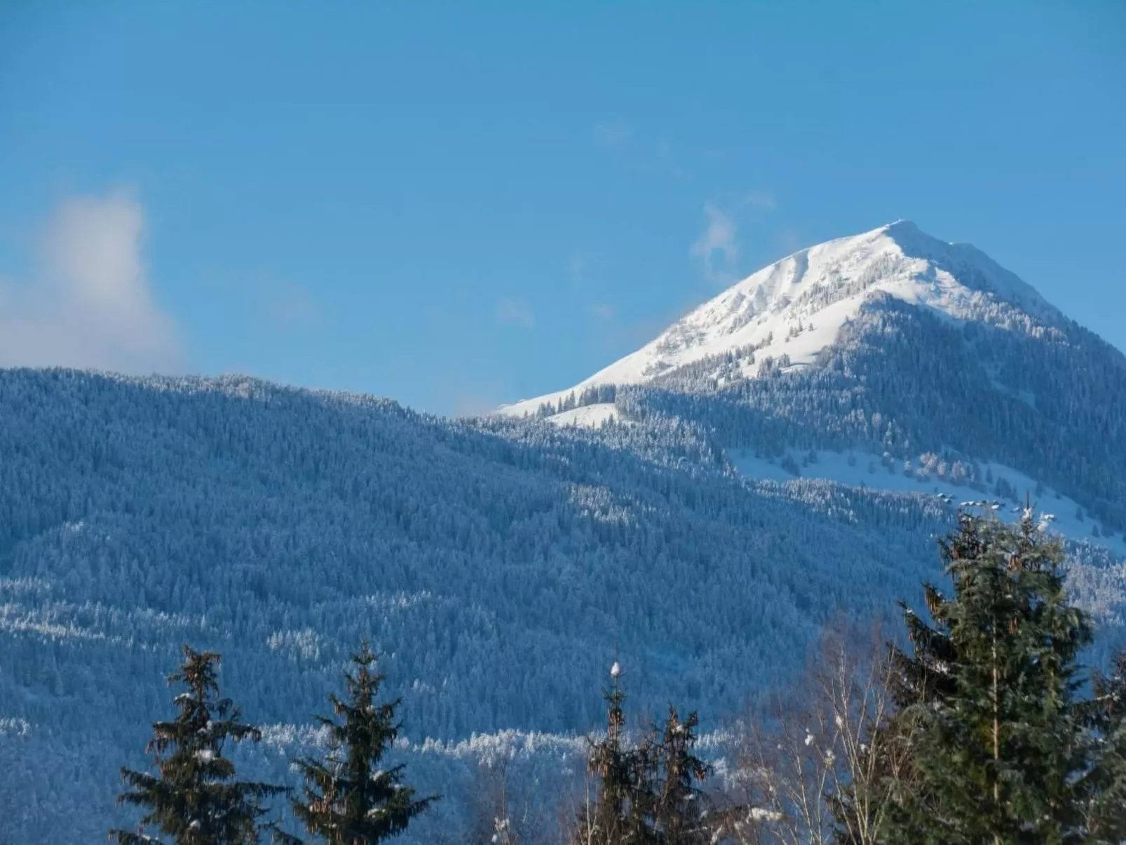 Gartenlodge - Image-tags.info