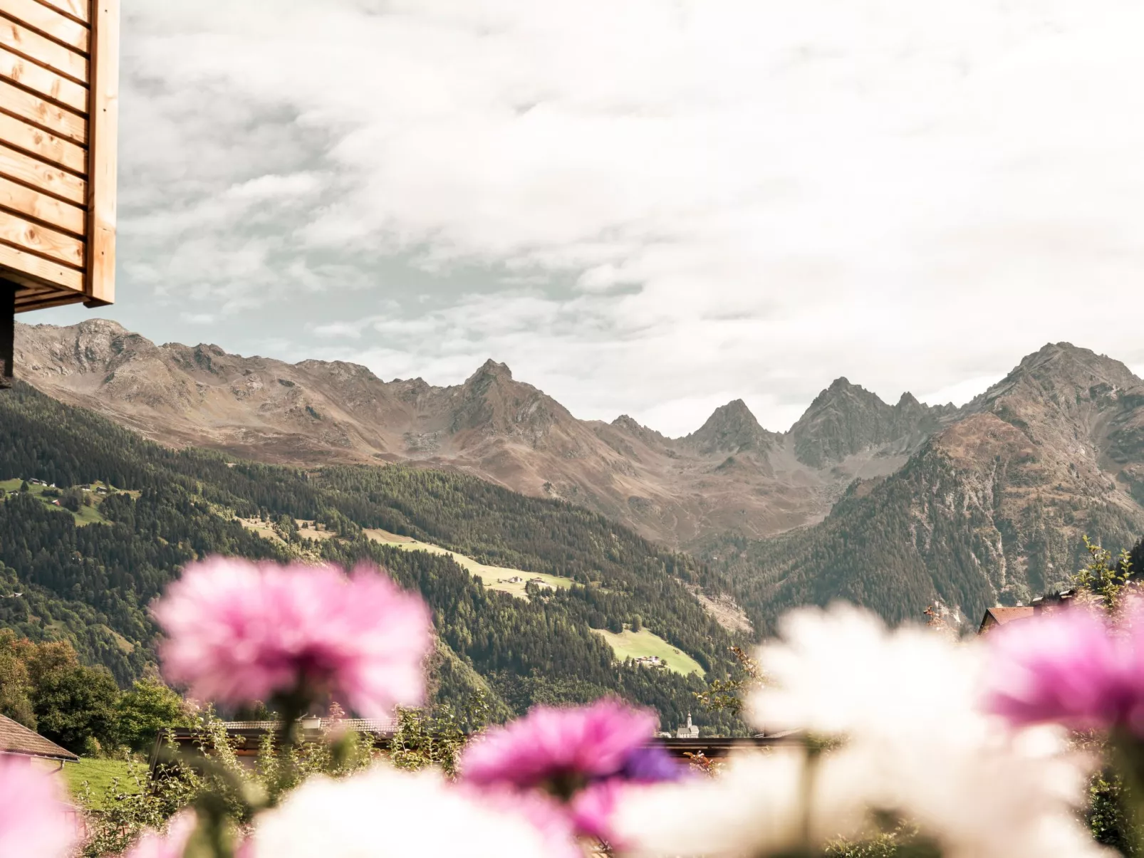 Apart  Bieles NEU - Image-tags.info