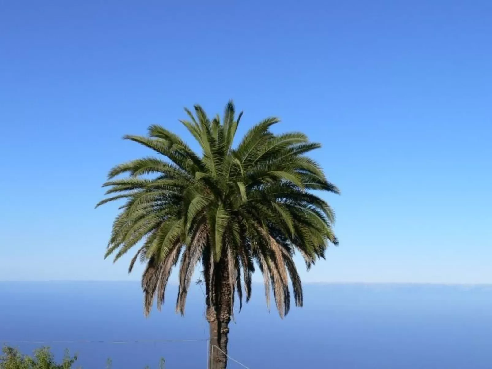 Nettes Ferienhaus in Tijarafe mit Privatem Pool und Panoramablick - Image-tags.info