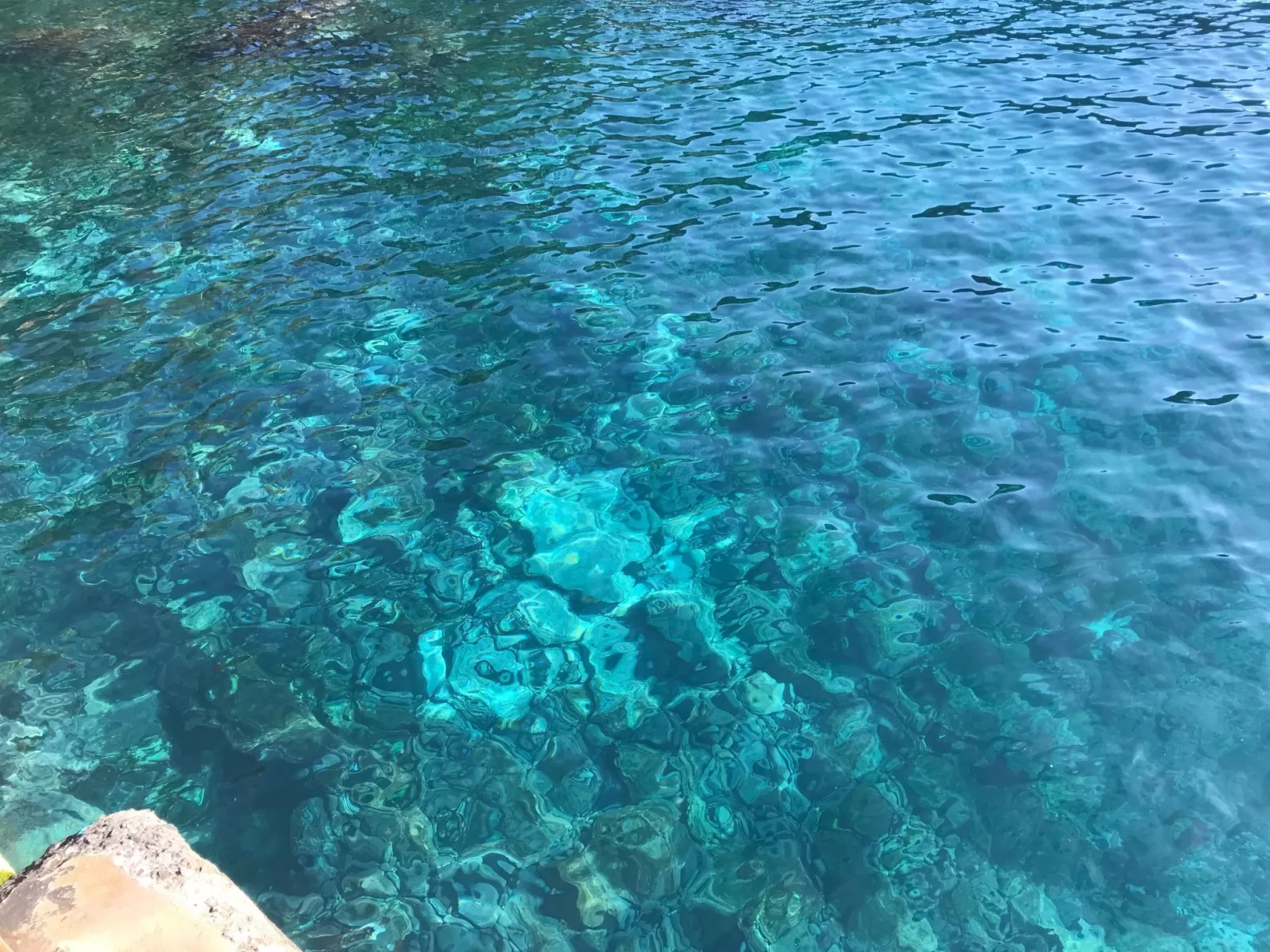 Mit Blick auf das Wasser-Image-tags.info