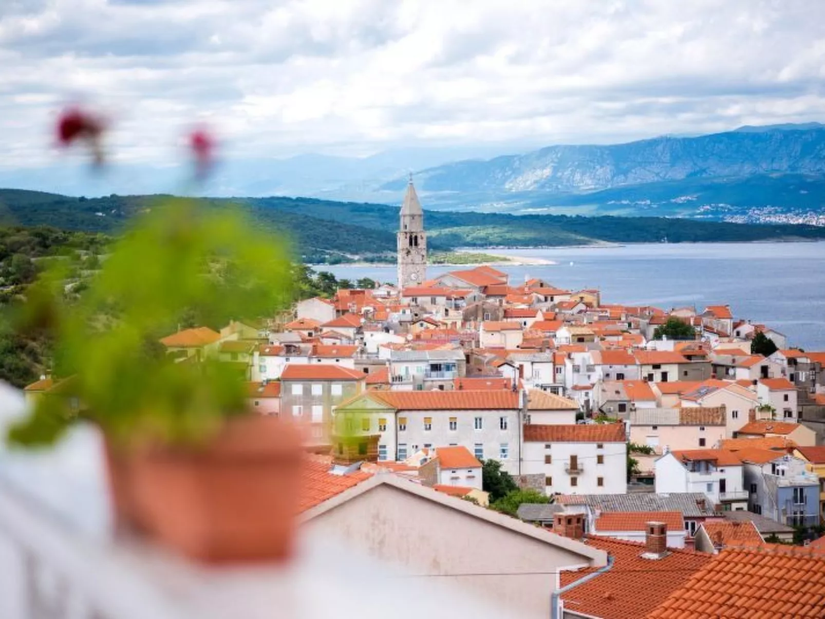 Apartman Višnja  - ID 2106 - Image-tags.info