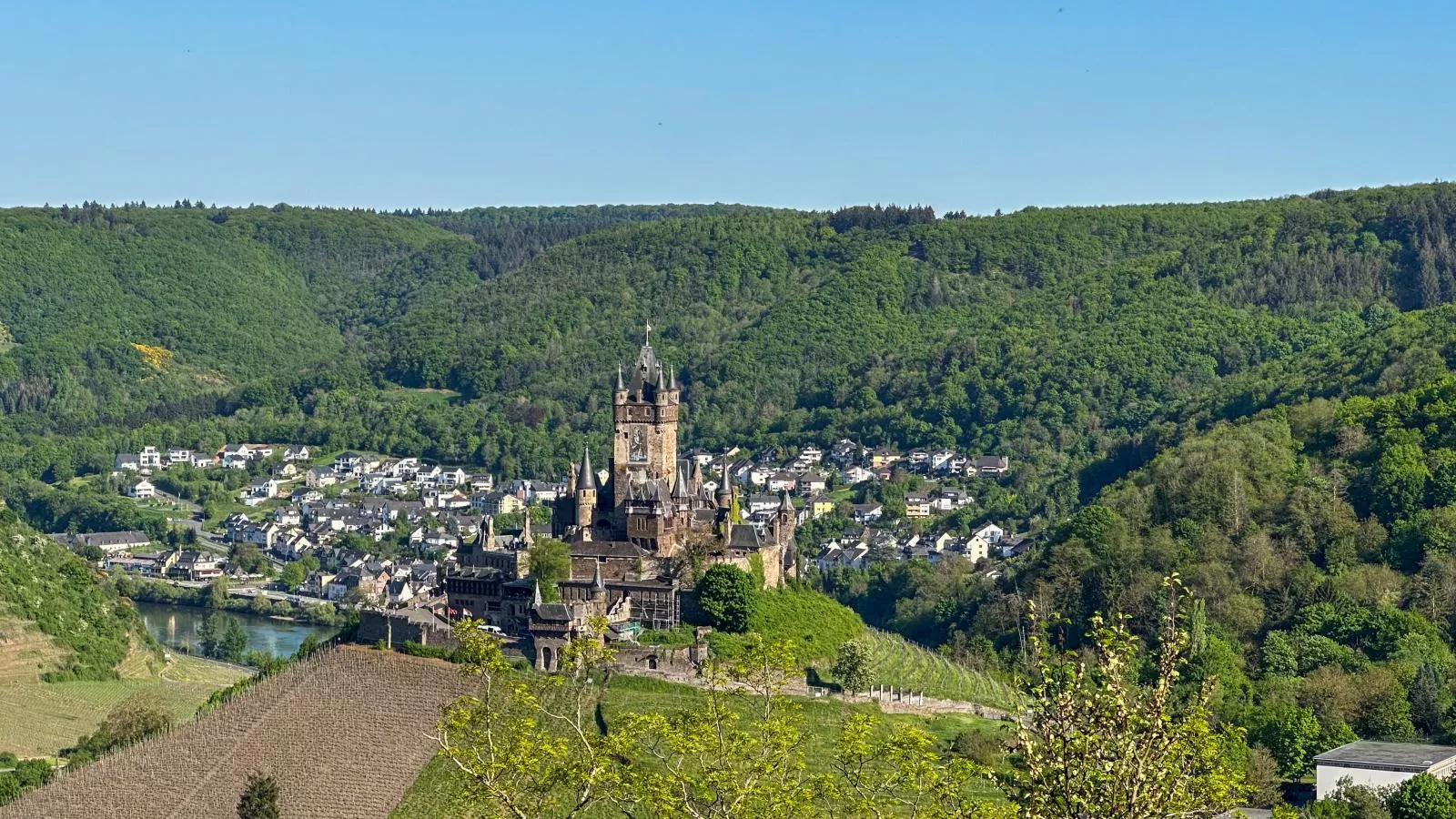 Cochem - Gebieden zomer 1km