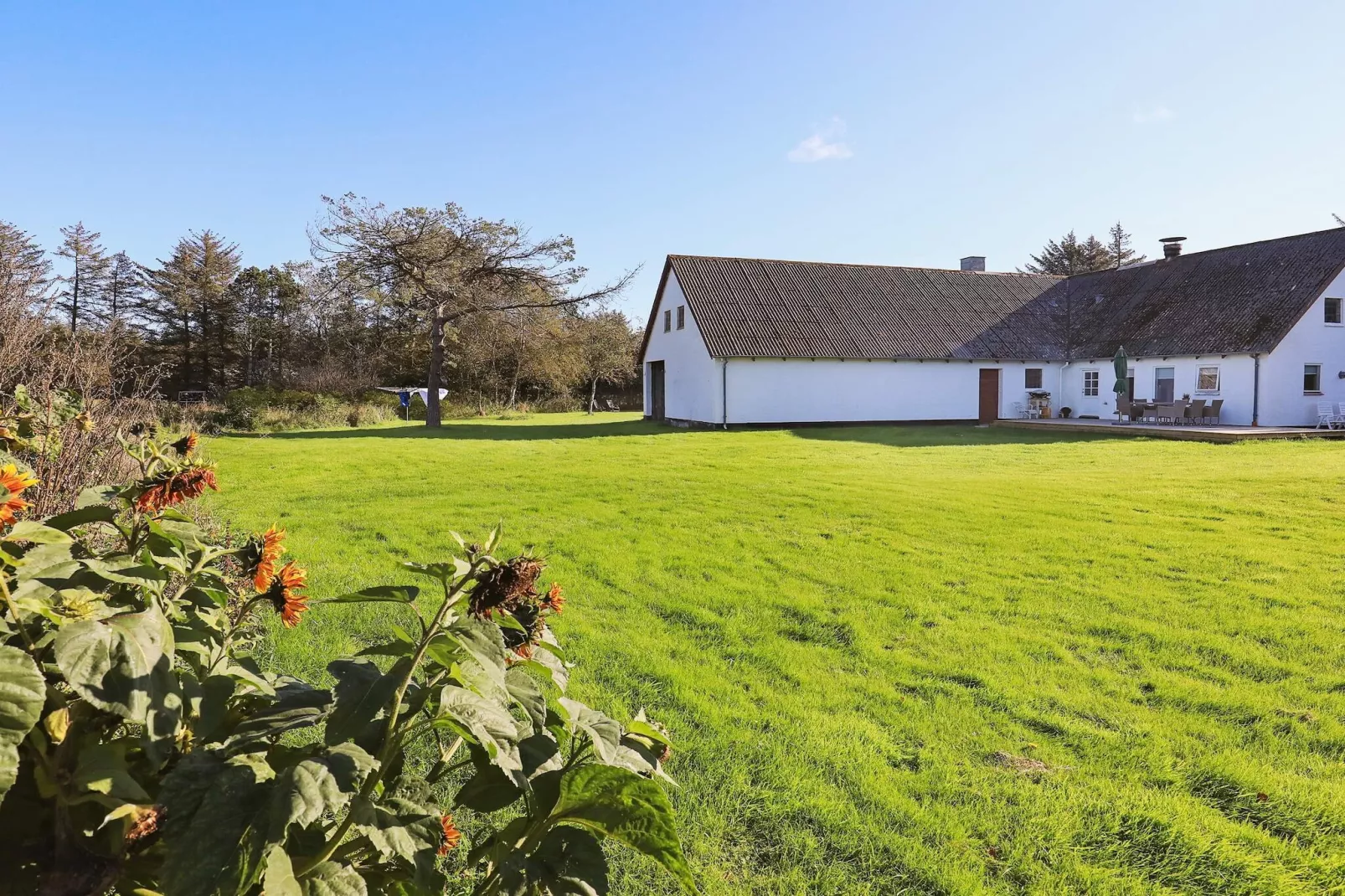 4 persoons vakantie huis in Hjørring-Uitzicht