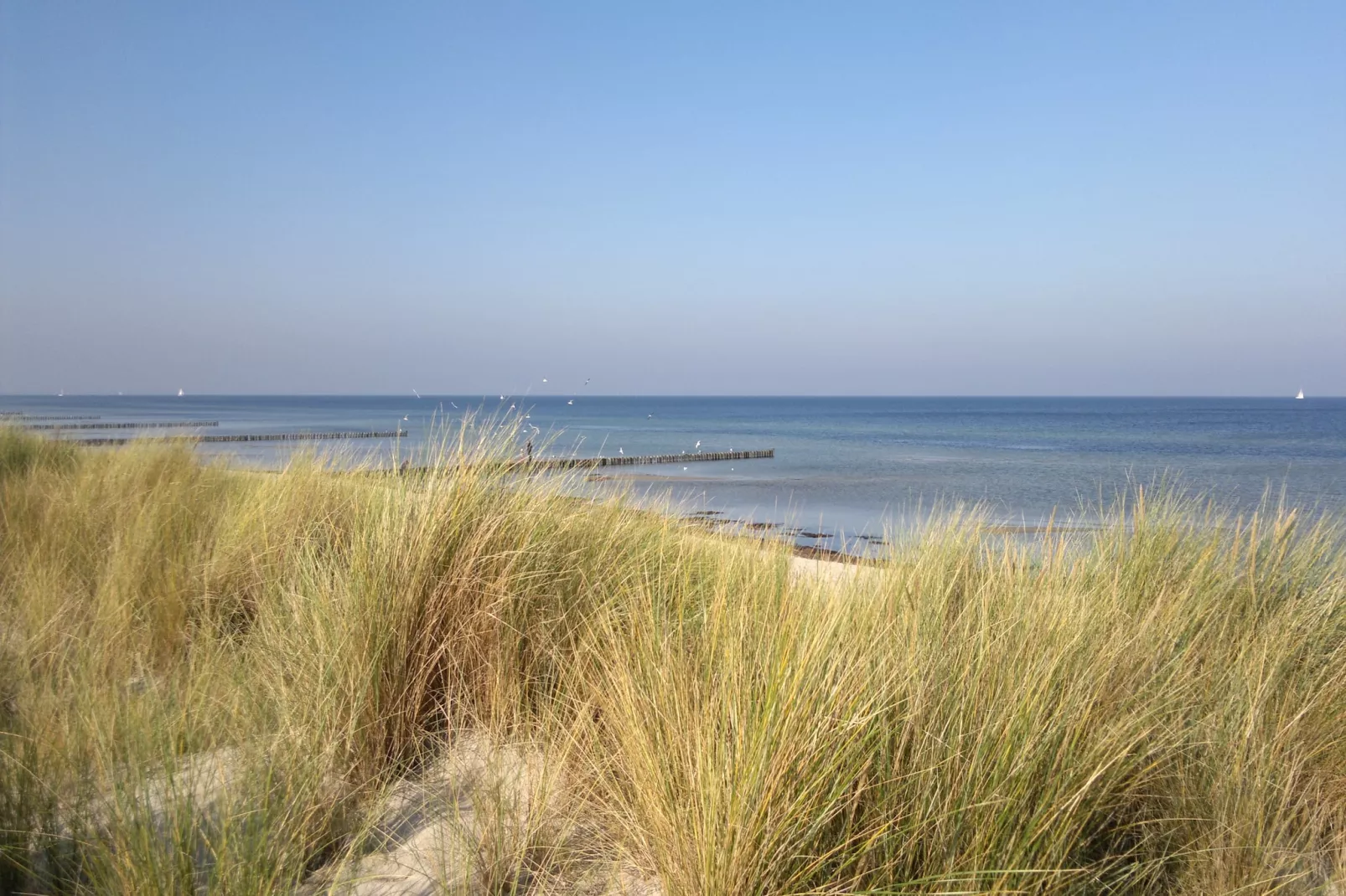Strandnahes Ferienhaus Walter mit Meerblick - Gebieden zomer 20km