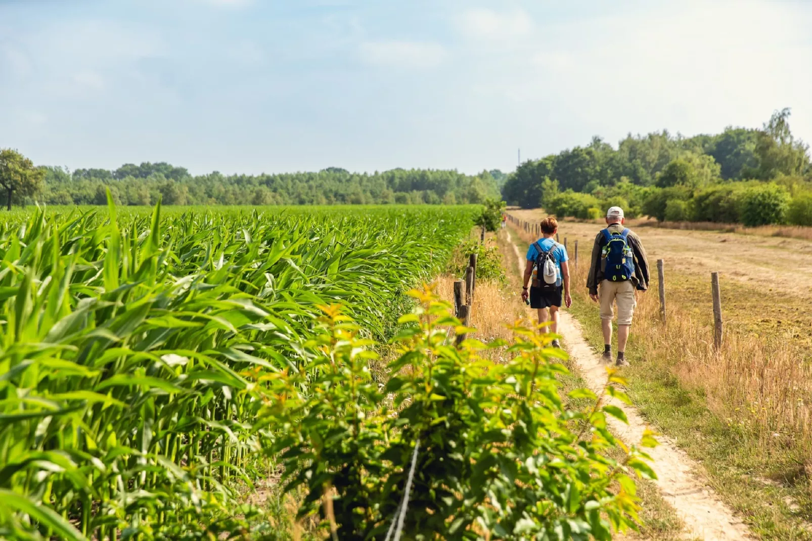 Vakantiepark Mölke 16 - Gebieden zomer 1km