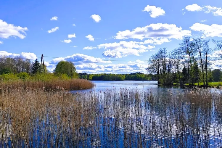 Holiday home Rekowo 120 qm - Gebieden zomer 1km