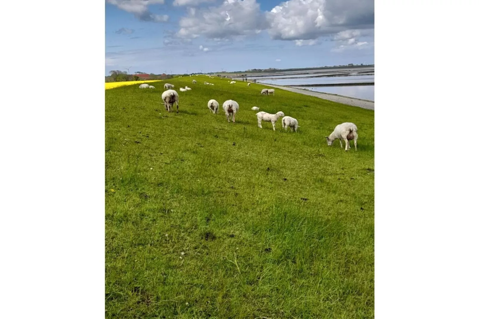 55576-Image-tags.water view