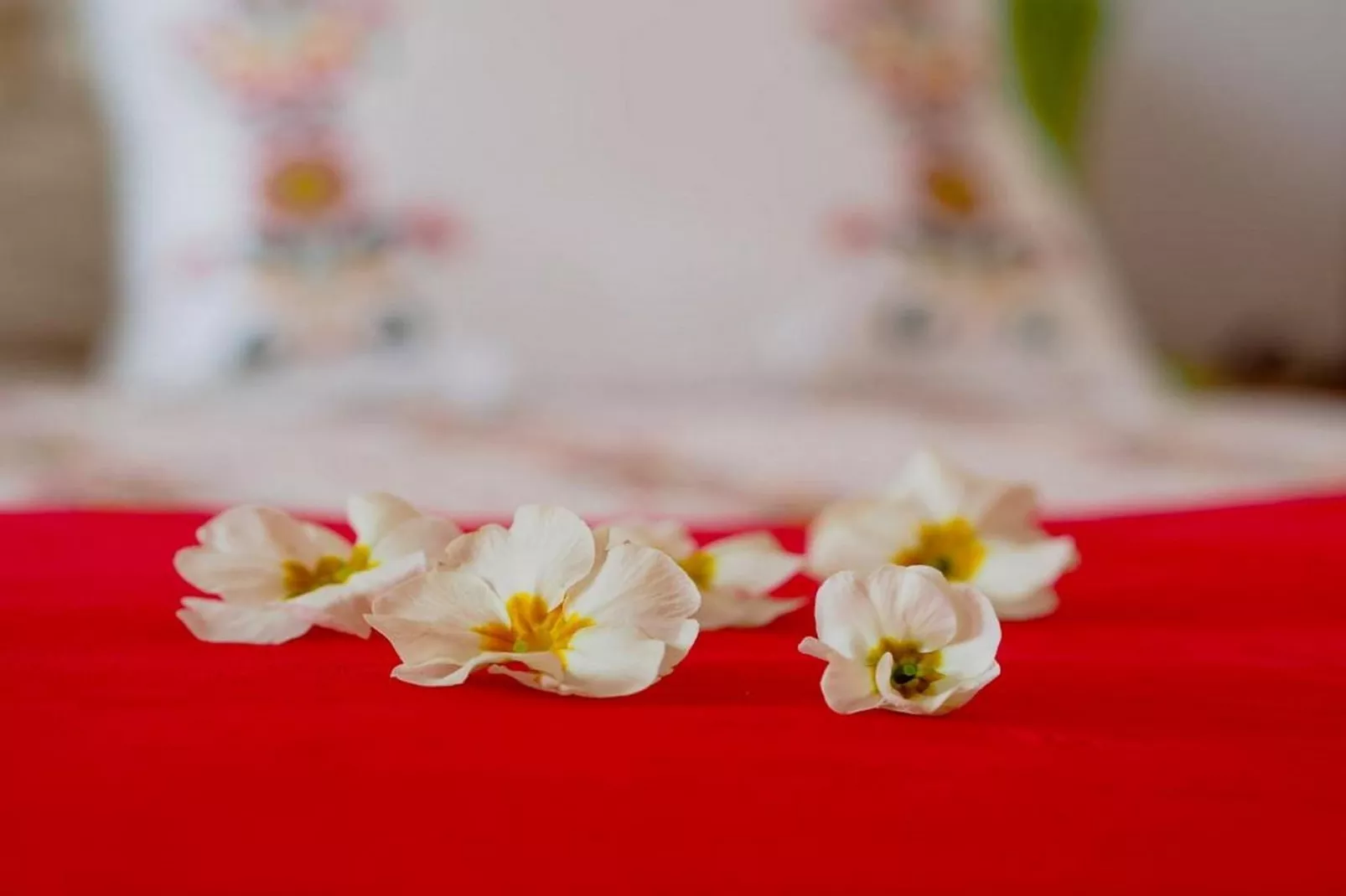 Villa Antonija - Four-Bedroom Villa with Terrace and Private Pool-Binnen